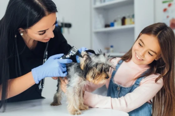 Pet Care